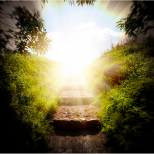 Dein Weg durch die Trauer